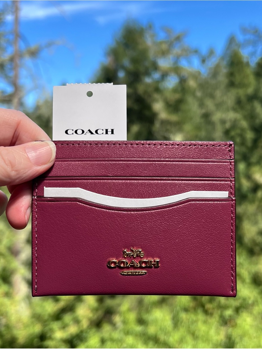 COACH Slim Id Card Case Raspberry Pink Calf Leather Gold Hardware AUTHENTIC NWT
